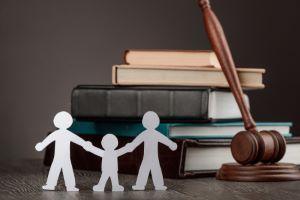 DuPage County adoption attorney