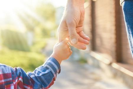 DuPage County adoption lawyer termination of parental rights