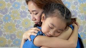 Wheaton family law attorney